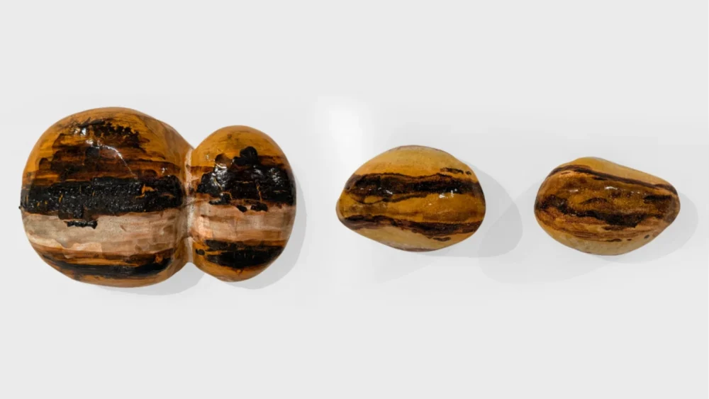 TOPOGRAFIA DAS CORRENTES I